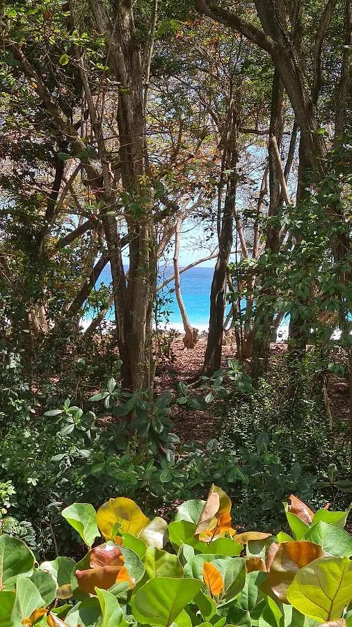 Villa Emeraude - Superb Creole Villa, Direct Access To The Diamant Beach, Amazing Pool Le Diamant