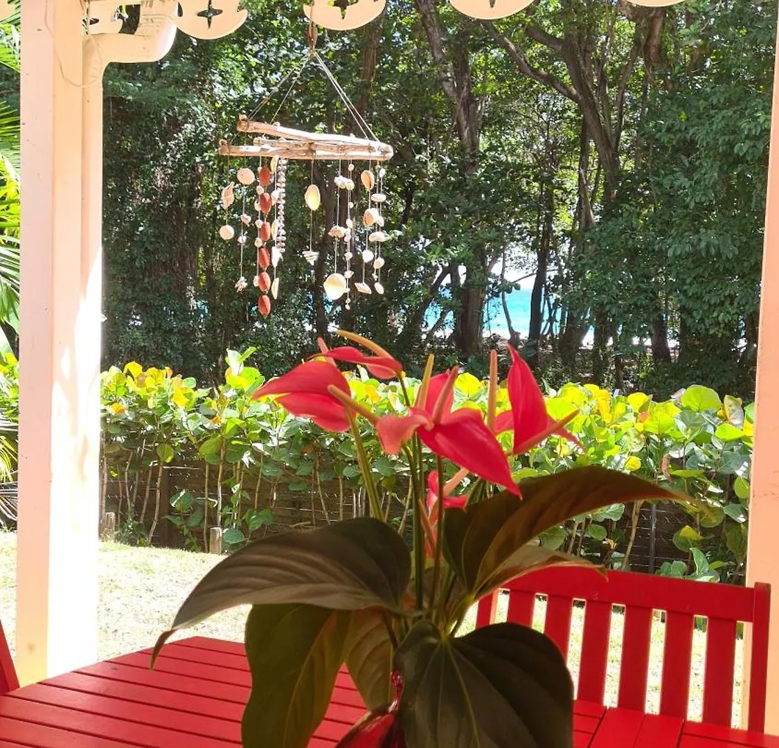 Villa Emeraude - Superb Creole Villa, Direct Access To The Diamant Beach, Amazing Pool Le Diamant